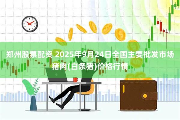 郑州股票配资 2025年9月24日全国主要批发市场猪肉(白条猪)价格行情