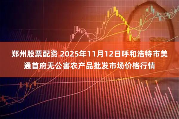 郑州股票配资 2025年11月12日呼和浩特市美通首府无公害农产品批发市场价格行情