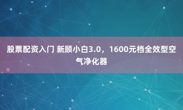 股票配资入门 新颐小白3.0，1600元档全效型空气净化器